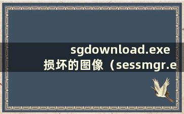 sgdownload.exe 损坏的图像（sessmgr.exe 损坏的图像）